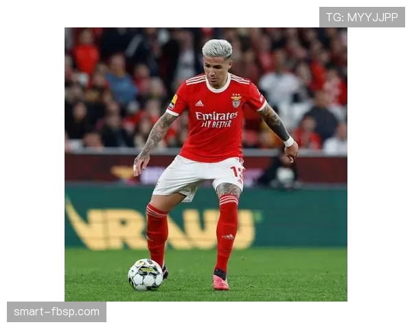 本菲卡爆发赛季：恩佐如何打出顶级中场表现